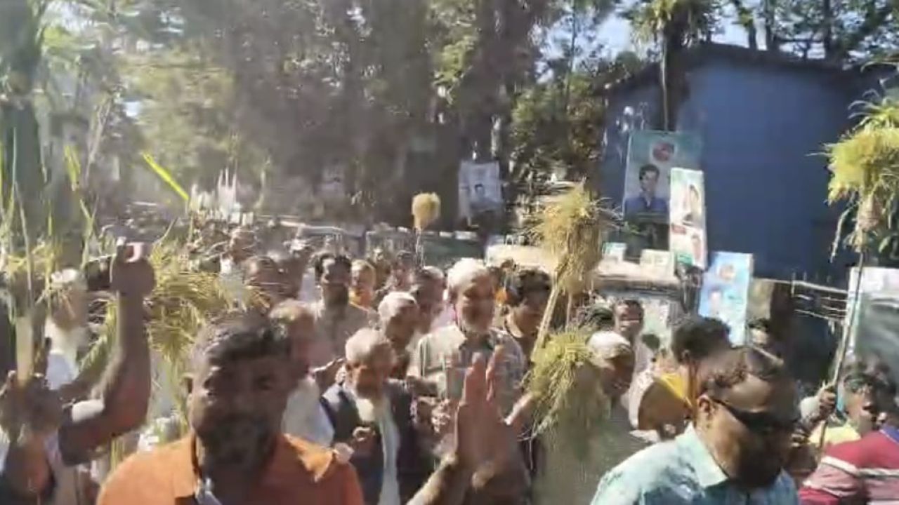 সুনামগঞ্জের ধর্মপাশায় বিএনপি ঐক্যবদ্ধ ভাবে  আনিসুল হকের ধানের শীষের মিছিল ও আলোচনা সভা