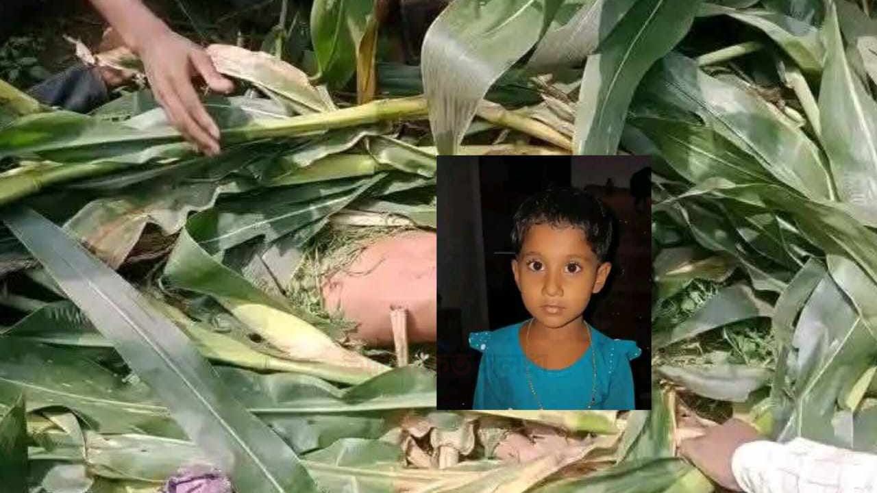 টাঙ্গাইলের মধুপুরে  শিশু ফাতেমা নিখোঁজের একদিন পর ভুট্টা ক্ষেত  থেকে লাশ উদ্ধার।