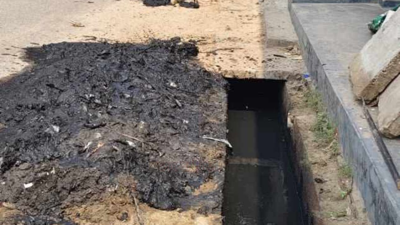 গোদাগাড়ীতে ডেঙ্গু প্রতিরোধে জোরদার পরিচ্ছন্নতা ও মশক নিধন অভিযান