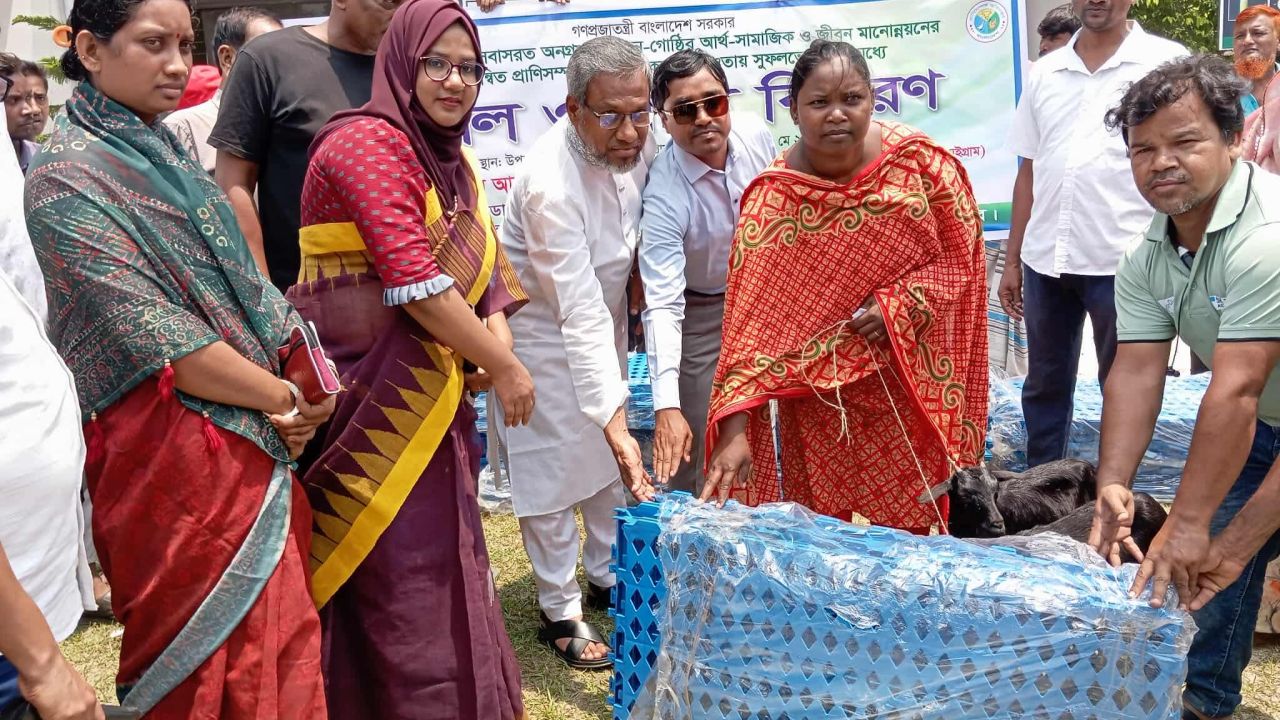 বড়াইগ্রামে ক্ষুদ্র নৃ-গোষ্ঠী পরিবারের মাঝে ছাগল ও গো-খাদ্য বিতরণ