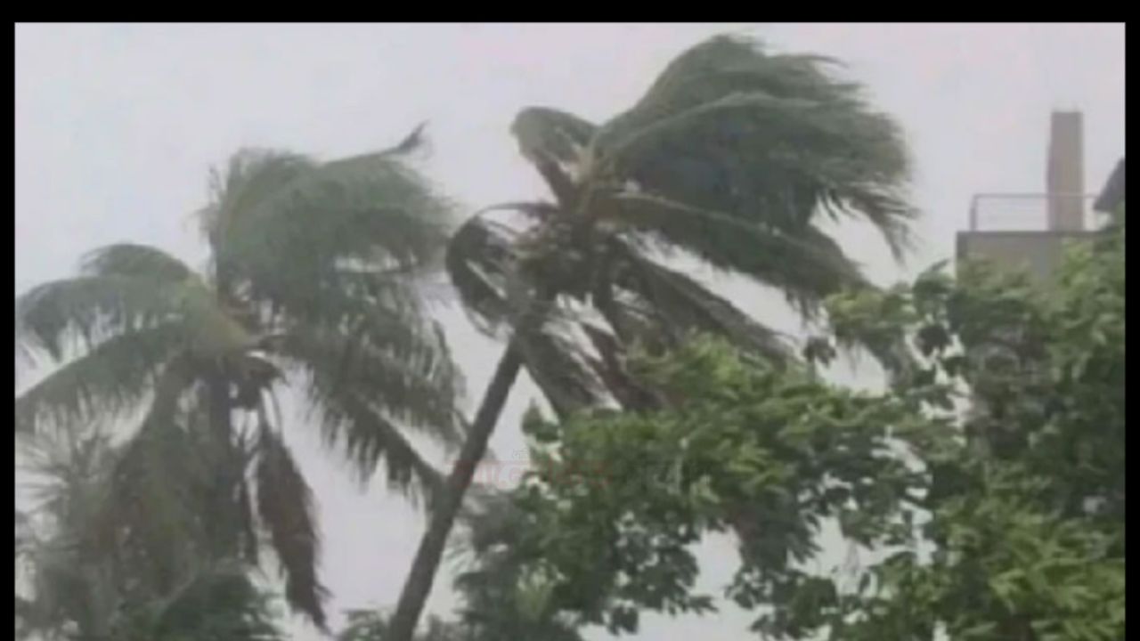 সকালের মধ্যে ৯ অঞ্চলে ঝড়ের শঙ্কা, নদীবন্দরে সতর্ক সংকেত।