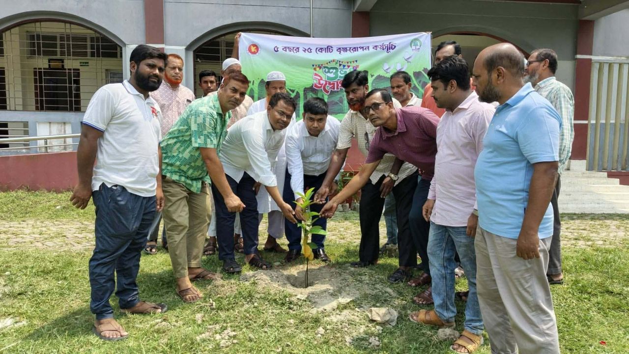 লালপুরে নদী খনন প্রকল্পের অংশ হিসেবে ইউএনও’র বৃক্ষরোপণ কর্মসূচি উদ্বোধন​ 