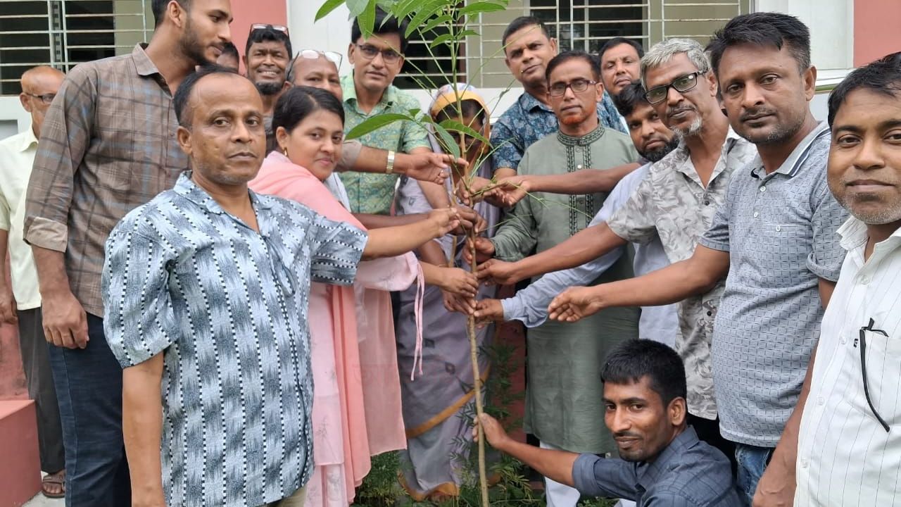 সলঙ্গার আঙ্গারু এস.এ বালিকা বিদ্যালয়ে বৃক্ষরোপণ কর্মসূচী