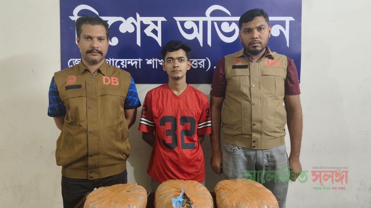 সাভারে গাঁজাসহ ১জন মাদক ব্যবসায়ীকে আটক করেছে ডিবি 