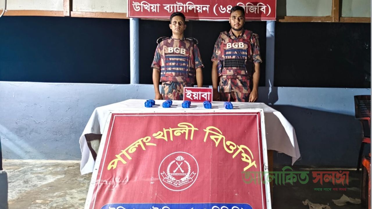 পালংখালী সিমান্তে ইয়াবা ফেলে পালিয়ে গেল ২ পাচারকারী 