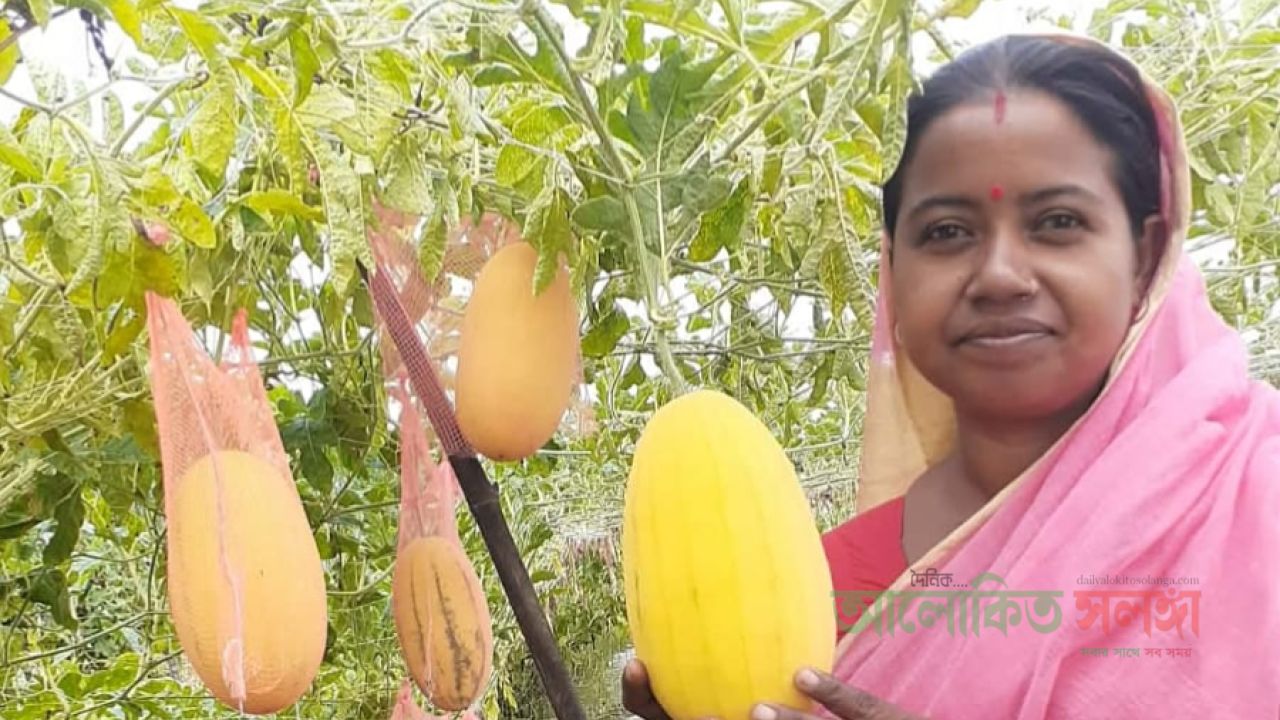 ডুমুরিয়ায় রঙিন তরমুজ চাষে চমক: স্বাবলম্বী কৃষাণি মিতালী মণ্ডল