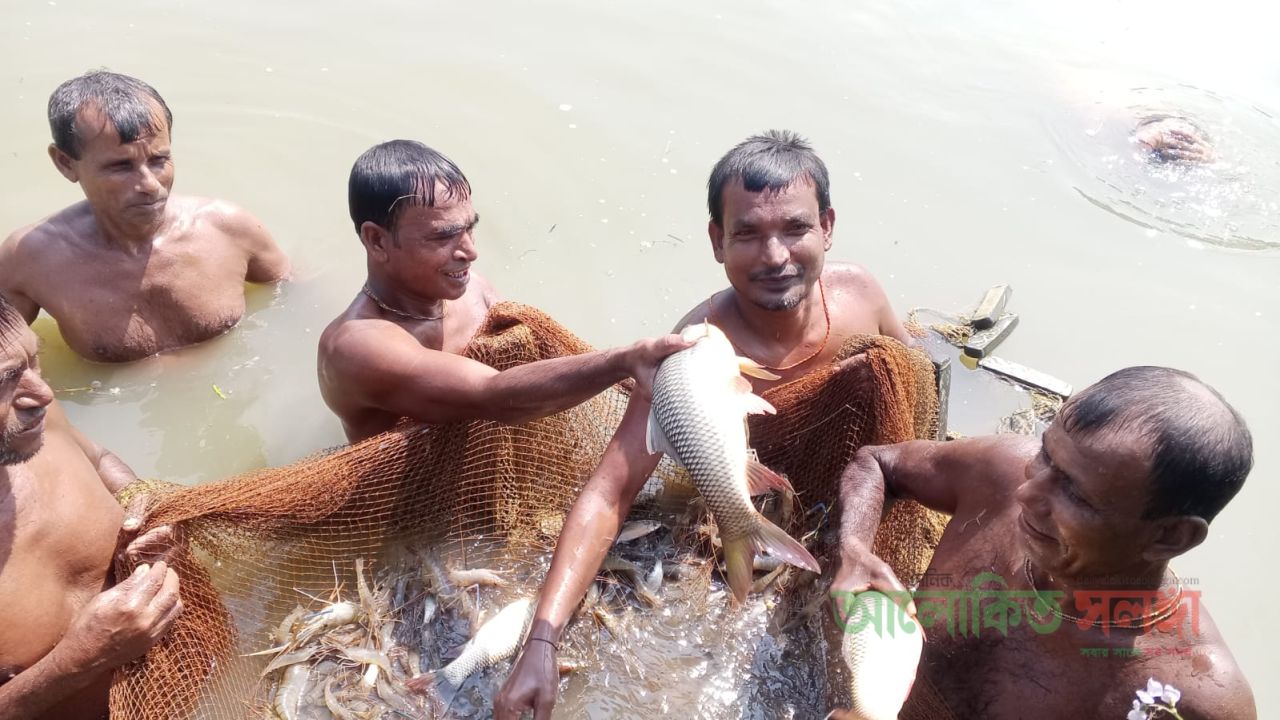 পুশবিরোধী অভিযান: ১০০ কেজি চিংড়ি জব্দ, ১০ হাজার টাকা জরিমানা