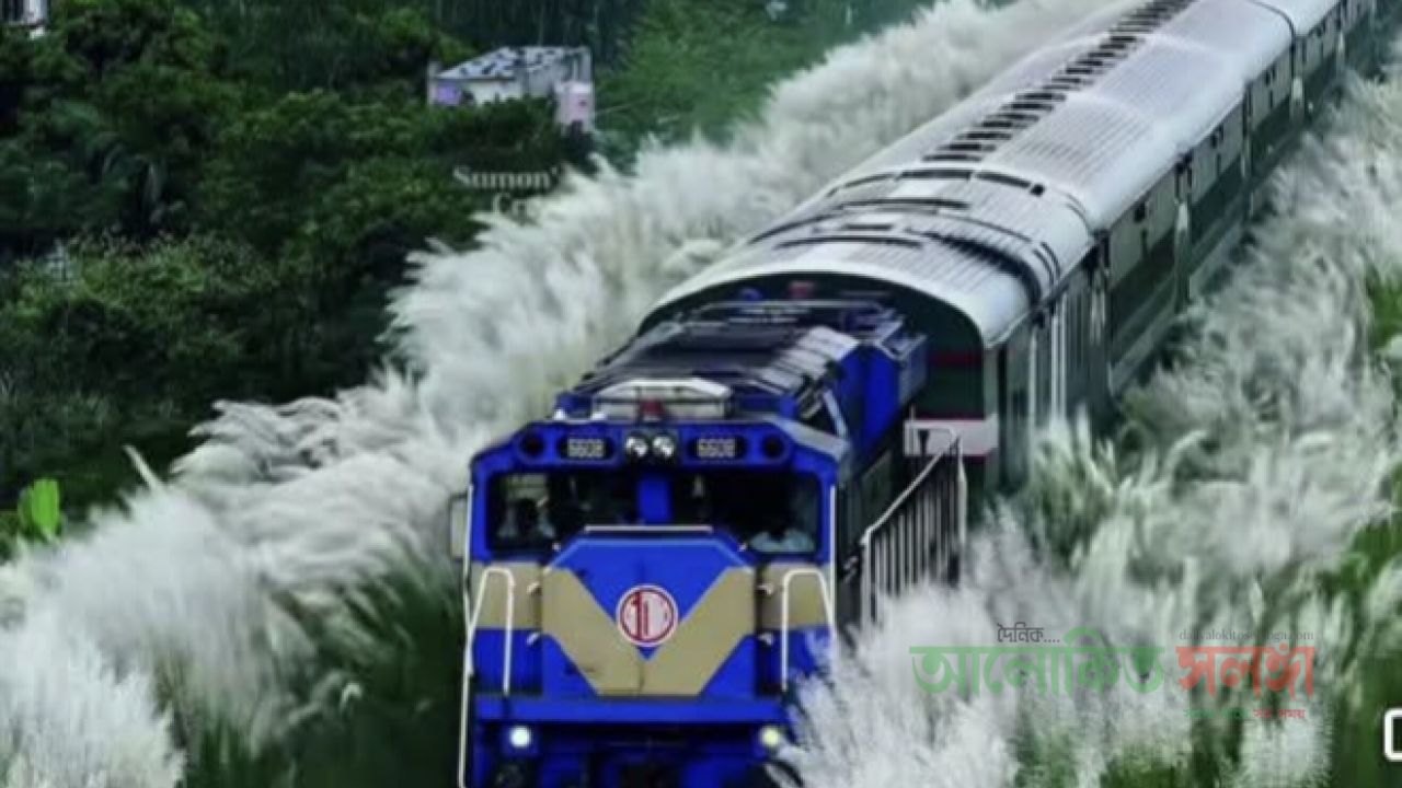 কাশ পাপড়ি   তাছলিমা আক্তার মুক্তা