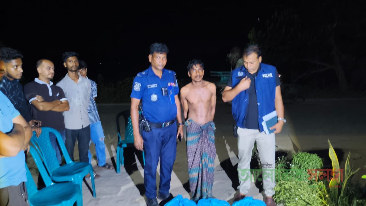 ব্রাহ্মণপাড়ায় ৬ কেজি গাঁজাসহ গ্রেপ্তার ১