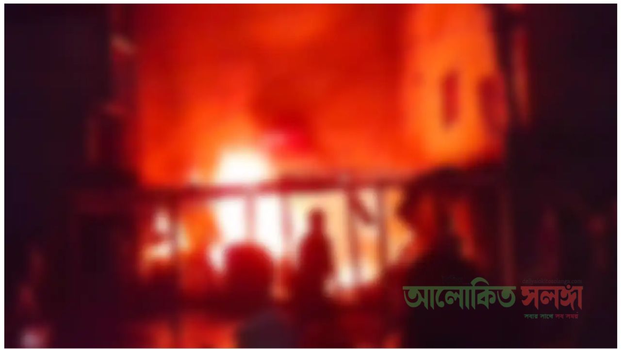 সিরাজগঞ্জে অগ্নিকাণ্ডে দোকান-গোডাউনসহ ৮ ঘর ক্ষতিগ্রস্ত