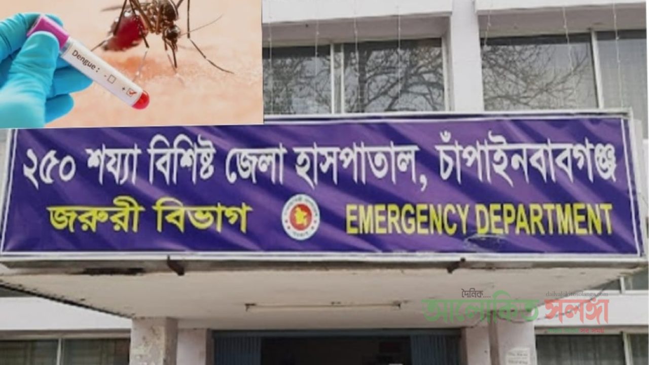 চাঁপাইনবাবগঞ্জে ২৪ ঘণ্টায় আরও ৬০ জন ডেঙ্গু আক্রান্ত, হাসপাতালে ভর্তি ১৬৪