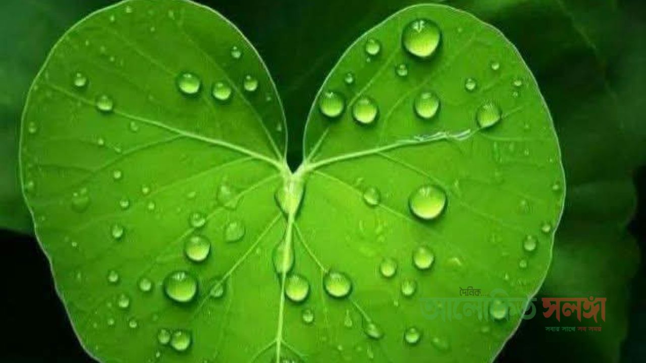 শূন্যতা বুকে নিয়ে চলছি         কলমে রিতুনুর